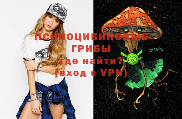 метамфетамин Алексин