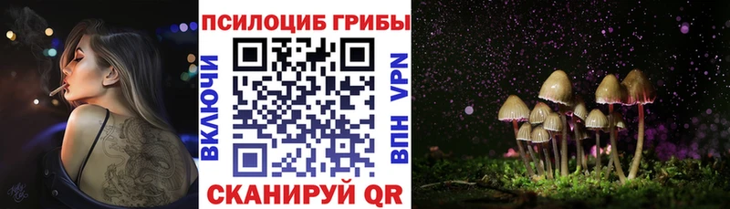 Галлюциногенные грибы мухоморы  купить наркоту  Пермь 
